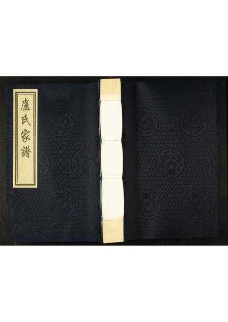 山东卢氏-卢氏家谱.pdf电子版缩略图