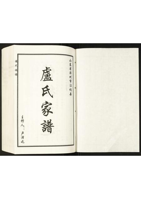 山东卢氏-卢氏家谱.pdf电子版预览图1