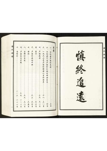 山东卢氏-卢氏家谱.pdf电子版预览图2