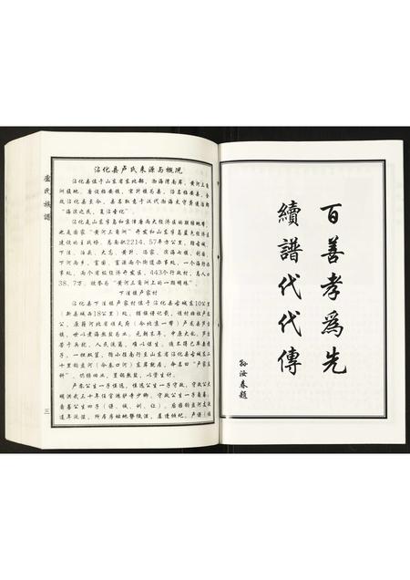 山东卢氏-卢氏家谱.pdf电子版预览图4