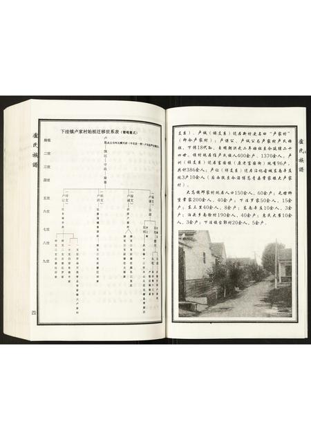 山东卢氏-卢氏家谱.pdf电子版预览图5