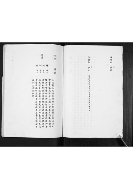 山东卢氏-卢氏家谱常家庄支谱[不分卷].pdf电子版预览图2