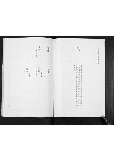 山东卢氏-卢氏家谱常家庄支谱[不分卷].pdf电子版预览图3