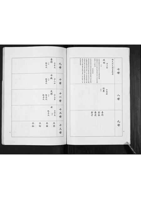 山东卢氏-卢氏家谱常家庄支谱[不分卷].pdf电子版预览图4