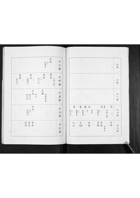 山东卢氏-卢氏家谱常家庄支谱[不分卷].pdf电子版预览图5