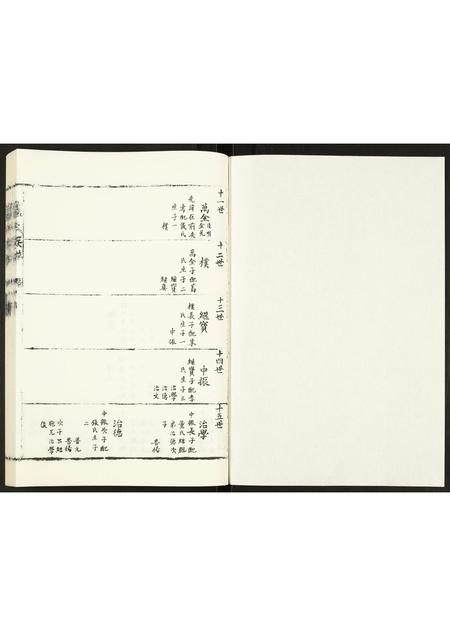 山东卢氏-卢氏族谱.pdf电子版预览图1