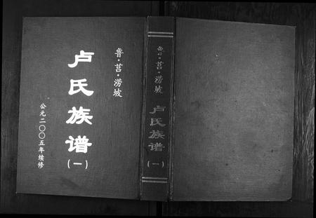 山东卢氏-卢氏族谱[4卷].pdf电子版缩略图