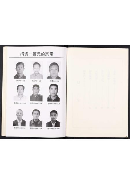 山东卢氏-卢氏族谱[不分卷].pdf电子版预览图4