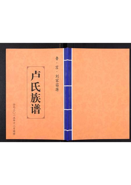 山东卢氏-卢氏族谱[不分卷].pdf电子版缩略图