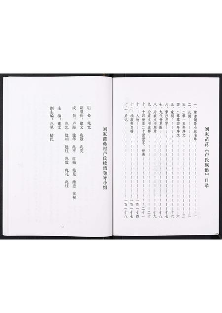 山东卢氏-卢氏族谱[不分卷].pdf电子版预览图2