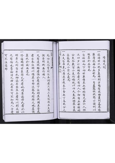 山东卢氏-卢氏族谱[不分卷].pdf电子版预览图5