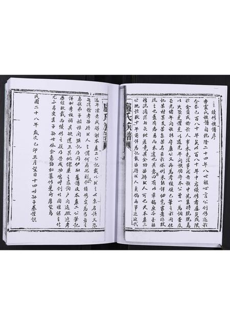 山东卢氏-卢氏族谱[不分卷].pdf电子版预览图2