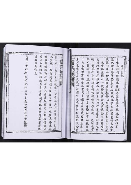 山东卢氏-卢氏族谱[不分卷].pdf电子版预览图5