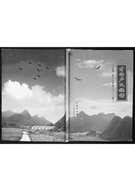 广西卢氏-才西卢氏族谱.pdf电子版缩略图