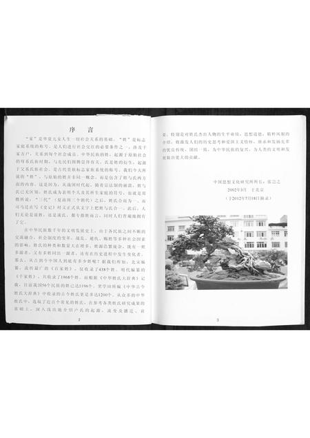 广西卢氏-才西卢氏族谱.pdf电子版预览图2