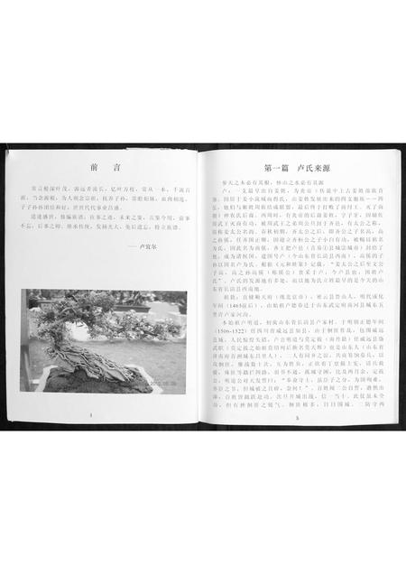 广西卢氏-才西卢氏族谱.pdf电子版预览图3