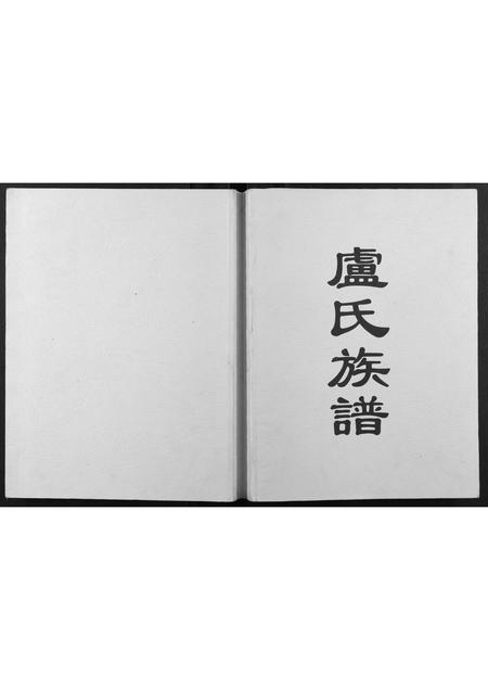 广西卢氏-卢氏族谱.pdf电子版缩略图