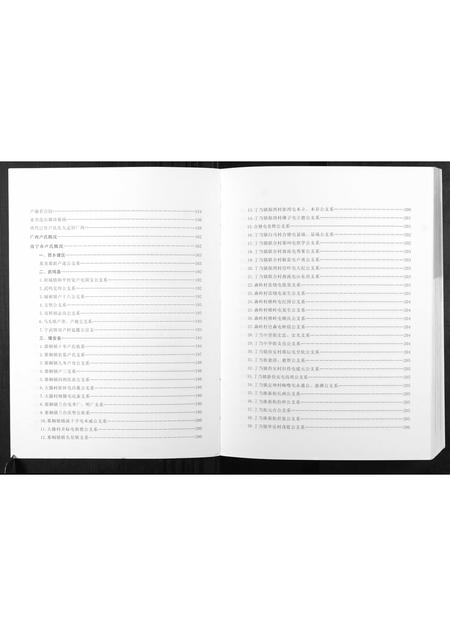 广西卢氏-卢氏族谱.pdf电子版预览图4