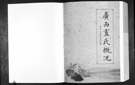 广西卢氏-卢述族谱.pdf电子版预览图1