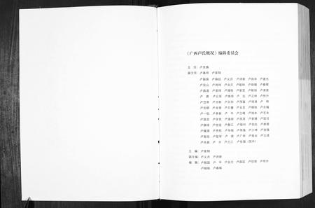 广西卢氏-卢述族谱.pdf电子版预览图2