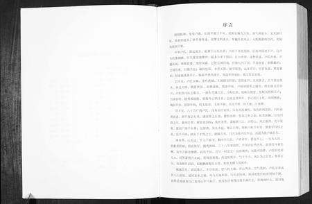 广西卢氏-卢述族谱.pdf电子版预览图3