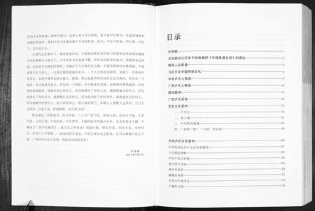 广西卢氏-卢述族谱.pdf电子版预览图4