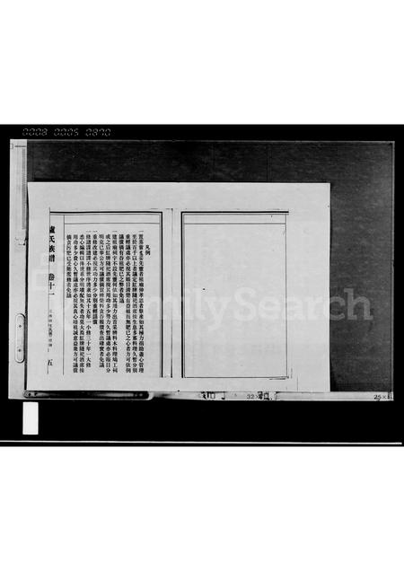 海南卢氏-卢氏族谱 [存卷].pdf电子版预览图5