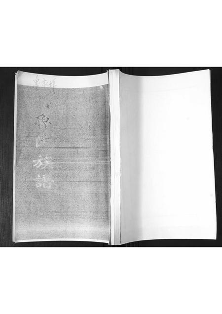 山东鲁氏-鲁氏族谱.pdf电子版缩略图