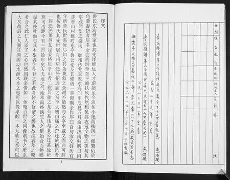 山东鲁氏-鲁氏族谱.pdf电子版预览图2