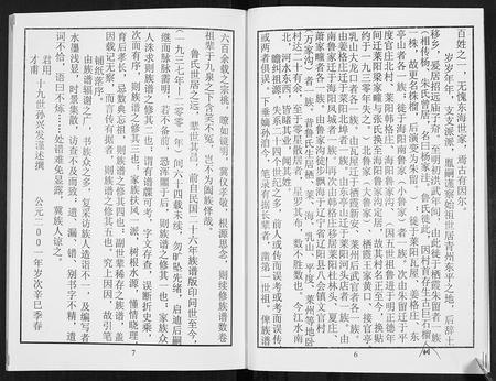 山东鲁氏-鲁氏族谱.pdf电子版预览图5