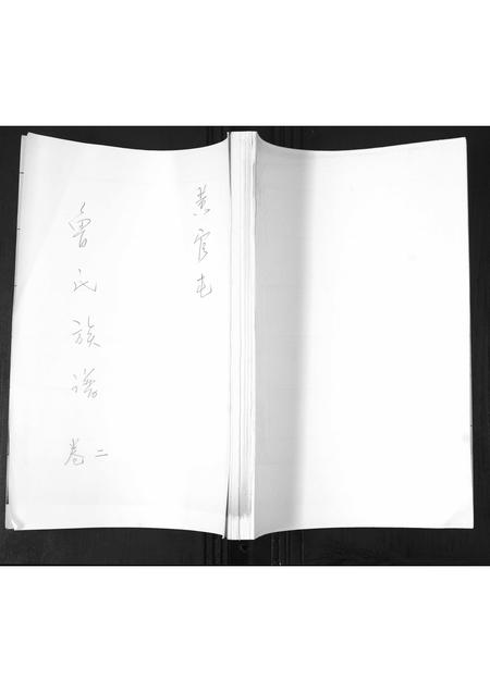 山东鲁氏-鲁氏族谱[2卷].pdf电子版缩略图