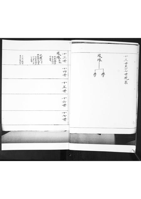 山东鲁氏-鲁氏族谱[2卷].pdf电子版预览图3