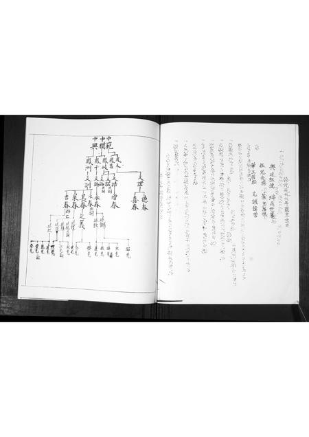 山东鲁氏-黄官屯鲁氏六支.pdf电子版预览图2