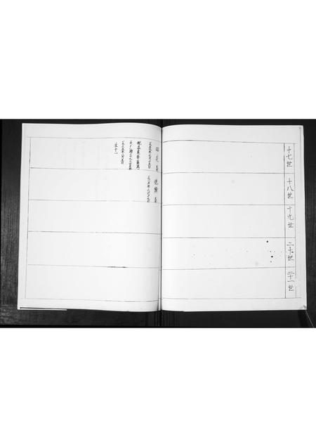 山东鲁氏-黄官屯鲁氏六支.pdf电子版预览图3