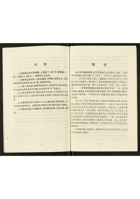 辽宁鲁氏-鲁氏家谱.pdf电子版预览图3