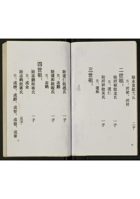 四川陆氏-陆氏宗谱.pdf电子版预览图4