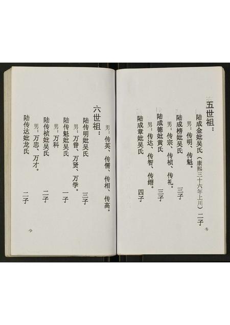 四川陆氏-陆氏宗谱.pdf电子版预览图5