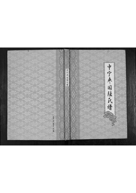 宁夏陆氏-中宁枣园陆氏谱[不分卷].pdf电子版缩略图