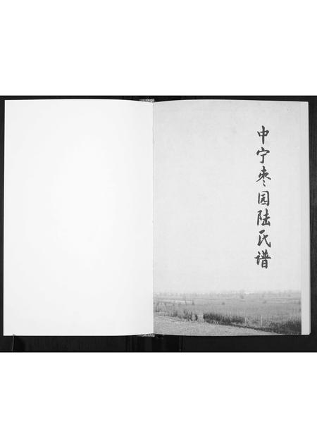 宁夏陆氏-中宁枣园陆氏谱[不分卷].pdf电子版预览图1