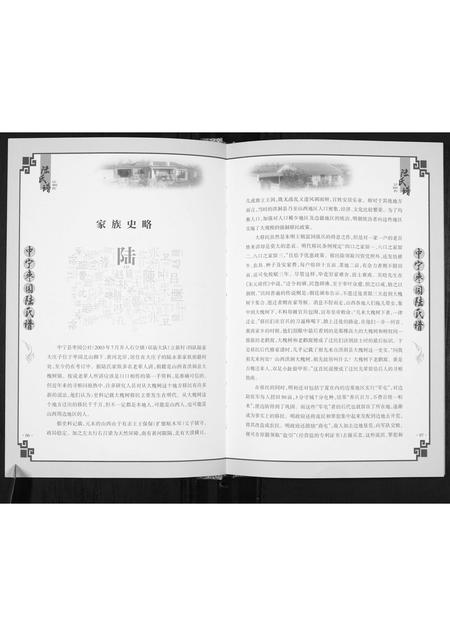 宁夏陆氏-中宁枣园陆氏谱[不分卷].pdf电子版预览图5