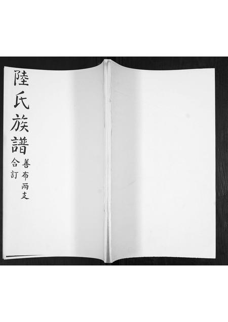 山东陆氏-陆氏族谱.pdf电子版缩略图