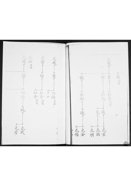 山东陆氏-陆氏族谱.pdf电子版预览图2