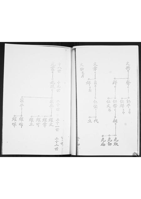 山东陆氏-陆氏族谱.pdf电子版预览图4