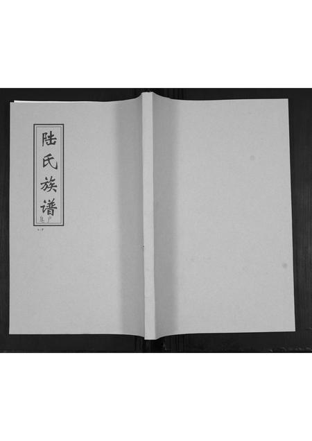 山东陆氏-陆氏族谱.pdf电子版缩略图