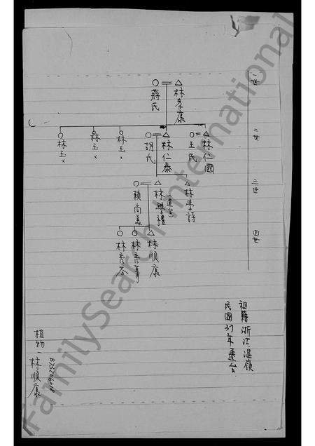 4333.[林氏世系图].pdf电子版缩略图