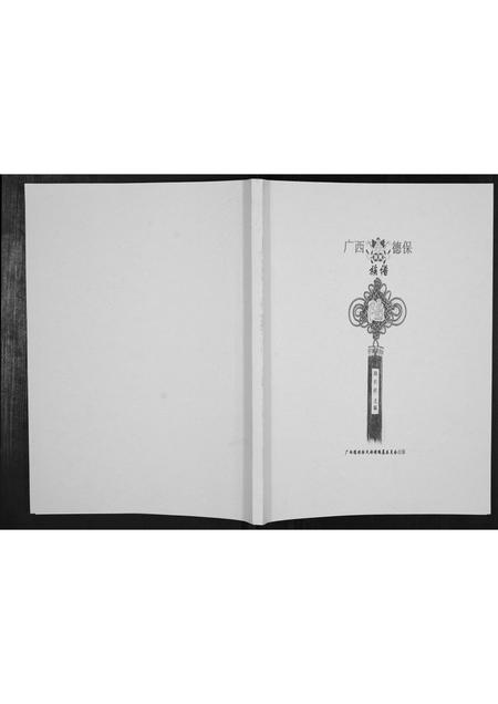 广西陆氏-广西德保陆氏族谱[不分卷].pdf电子版缩略图