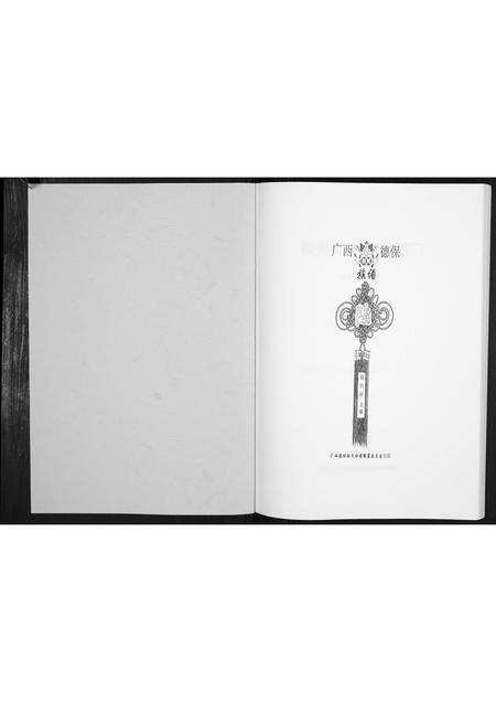 广西陆氏-广西德保陆氏族谱[不分卷].pdf电子版预览图1