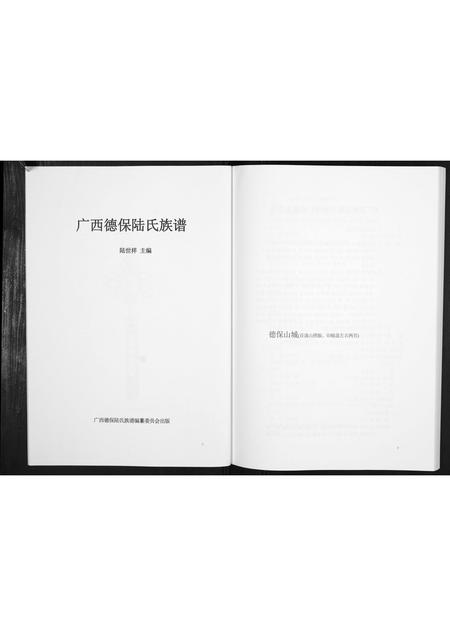 广西陆氏-广西德保陆氏族谱[不分卷].pdf电子版预览图2