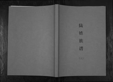 广西陆氏-陆姓族谱.pdf电子版缩略图