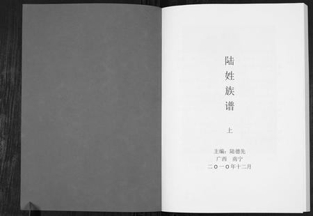 广西陆氏-陆姓族谱.pdf电子版预览图1